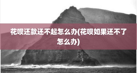 花呗还款还不起怎么办(花呗如果还不了怎么办)