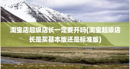 淘宝店超级店长一定要开吗(淘宝超级店长是买基本版还是标准版)