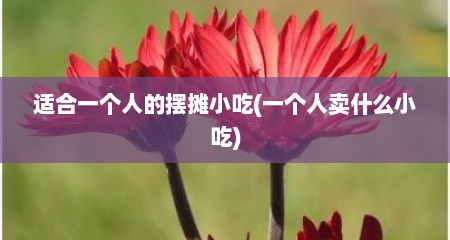 适合一个人的摆摊小吃(一个人卖什么小吃)