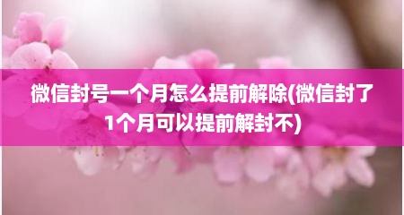微信封号一个月怎么提前解除(微信封了1个月可以提前解封不)