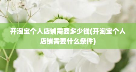 开淘宝个人店铺需要多少钱(开淘宝个人店铺需要什么条件)