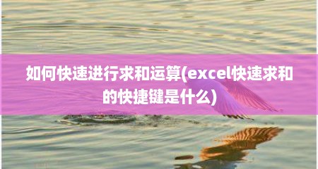 如何快速进行求和运算(excel快速求和的快捷键是什么)