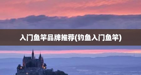 入门鱼竿品牌推荐(钓鱼入门鱼竿)