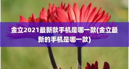 金立2021最新款手机是哪一款(金立最新的手机是哪一款)