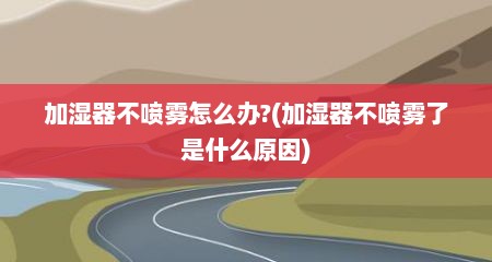 加湿器不喷雾怎么办?(加湿器不喷雾了是什么原因)