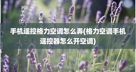 手机遥控格力空调怎么弄(格力空调手机遥控器怎么开空调)