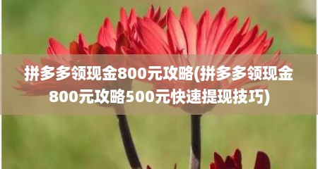 拼多多领现金800元攻略(拼多多领现金800元攻略500元快速提现技巧)