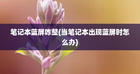 笔记本蓝屏咋整(当笔记本出现蓝屏时怎么办)