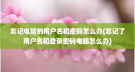 忘记电脑的用户名和密码怎么办(忘记了用户名和登录密码电脑怎么办)