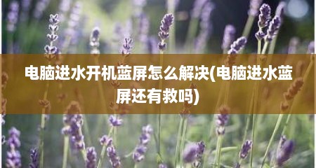 电脑进水开机蓝屏怎么解决(电脑进水蓝屏还有救吗)
