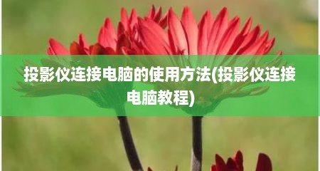 投影仪连接电脑的使用方法(投影仪连接电脑教程)