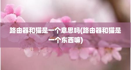 路由器和猫是一个意思吗(路由器和猫是一个东西嘛)