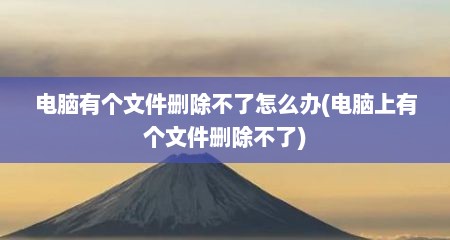 电脑有个文件删除不了怎么办(电脑上有个文件删除不了)