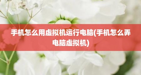 手机怎么用虚拟机运行电脑(手机怎么弄电脑虚拟机)