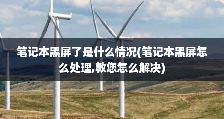 笔记本黑屏了是什么情况(笔记本黑屏怎么处理,教您怎么解决)