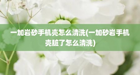 一加岩砂手机壳怎么清洗(一加砂岩手机壳脏了怎么清洗)