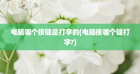 电脑哪个按键是打字的(电脑按哪个键打字?)