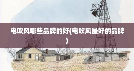 电吹风哪些品牌的好(电吹风最好的品牌)