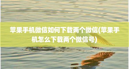 苹果手机微信如何下载两个微信(苹果手机怎么下载两个微信号)