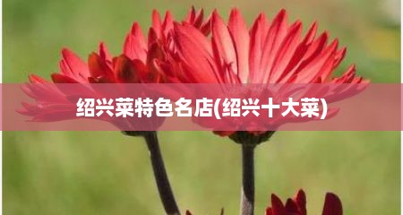 绍兴菜特色名店(绍兴十大菜)
