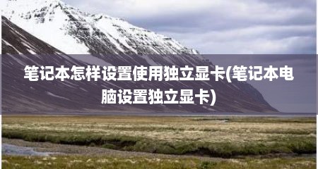 笔记本怎样设置使用独立显卡(笔记本电脑设置独立显卡)