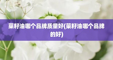 菜籽油哪个品牌质量好(菜籽油哪个品牌的好)