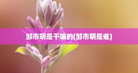 邹市明是干嘛的(邹市明是谁)