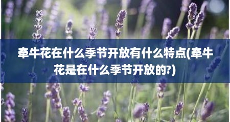 牵牛花在什么季节开放有什么特点(牵牛花是在什么季节开放的?)