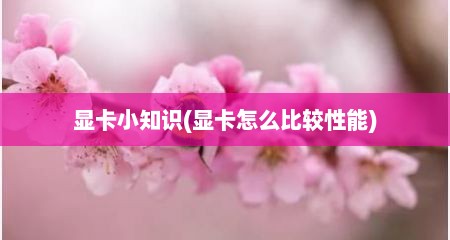 显卡小知识(显卡怎么比较性能)