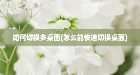 如何切换多桌面(怎么能快速切换桌面)