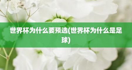世界杯为什么要预选(世界杯为什么是足球)