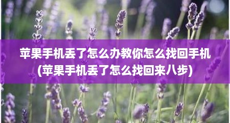 苹果手机丢了怎么办教你怎么找回手机(苹果手机丢了怎么找回来八步)