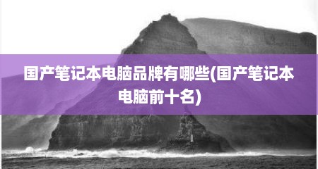 国产笔记本电脑品牌有哪些(国产笔记本电脑前十名)