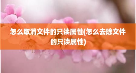 怎么取消文件的只读属性(怎么去除文件的只读属性)