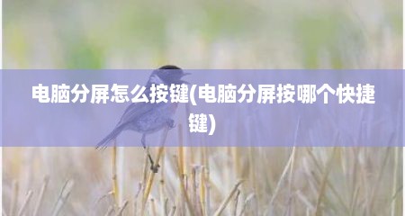 电脑分屏怎么按键(电脑分屏按哪个快捷键)