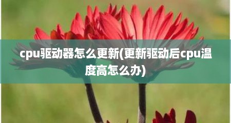 cpu驱动器怎么更新(更新驱动后cpu温度高怎么办)
