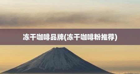 冻干咖啡品牌(冻干咖啡粉推荐)
