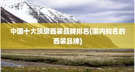 中国十大顶级西装品牌排名(国内知名的西装品牌)
