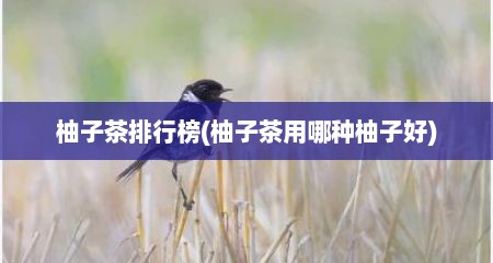 柚子茶排行榜(柚子茶用哪种柚子好)