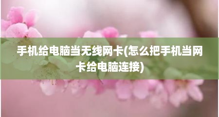 手机给电脑当无线网卡(怎么把手机当网卡给电脑连接)