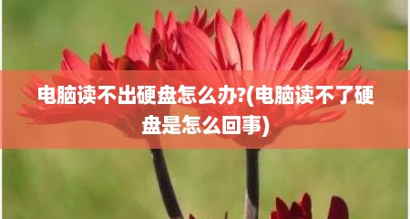 电脑读不出硬盘怎么办?(电脑读不了硬盘是怎么回事)