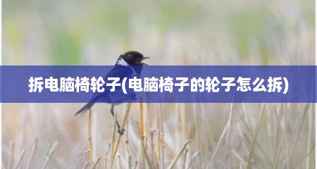 拆电脑椅轮子(电脑椅子的轮子怎么拆)