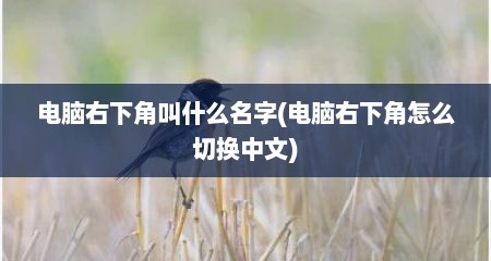 电脑右下角叫什么名字(电脑右下角怎么切换中文)