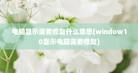 电脑显示需要修复什么意思(window10显示电脑需要修复)