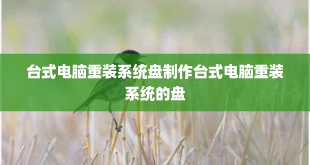 台式电脑重装系统盘制作台式电脑重装系统的盘