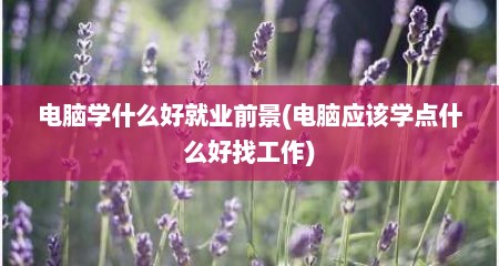电脑学什么好就业前景(电脑应该学点什么好找工作)