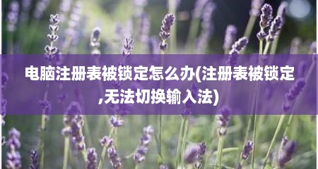 电脑注册表被锁定怎么办(注册表被锁定,无法切换输入法)