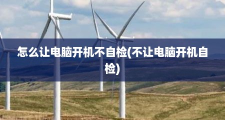 怎么让电脑开机不自检(不让电脑开机自检)