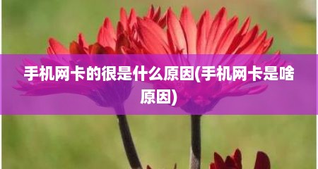 手机网卡的很是什么原因(手机网卡是啥原因)