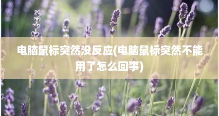 电脑鼠标突然没反应(电脑鼠标突然不能用了怎么回事)